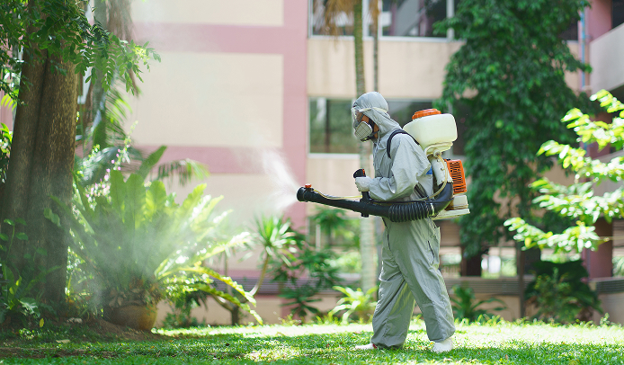 Bài viết nội bộ đội ngũ kiểm soát côn trùng