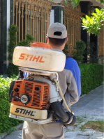 Bách khoa côn trùng Rệp giường